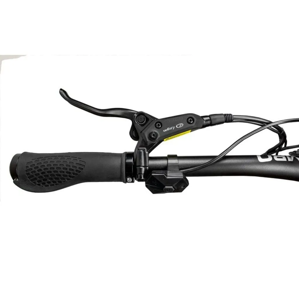 RAMBO The Pursuit 750W 48V Fat Tire Electric Bike