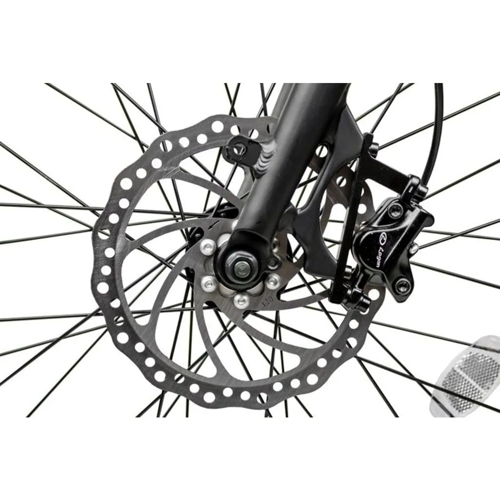 RAMBO The Pursuit 750W 48V Fat Tire Electric Bike